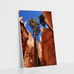 POWIĘKSZENIE FOTOGRAFICZNE 21 x 30 cm na płycie piankowo-kartonowej